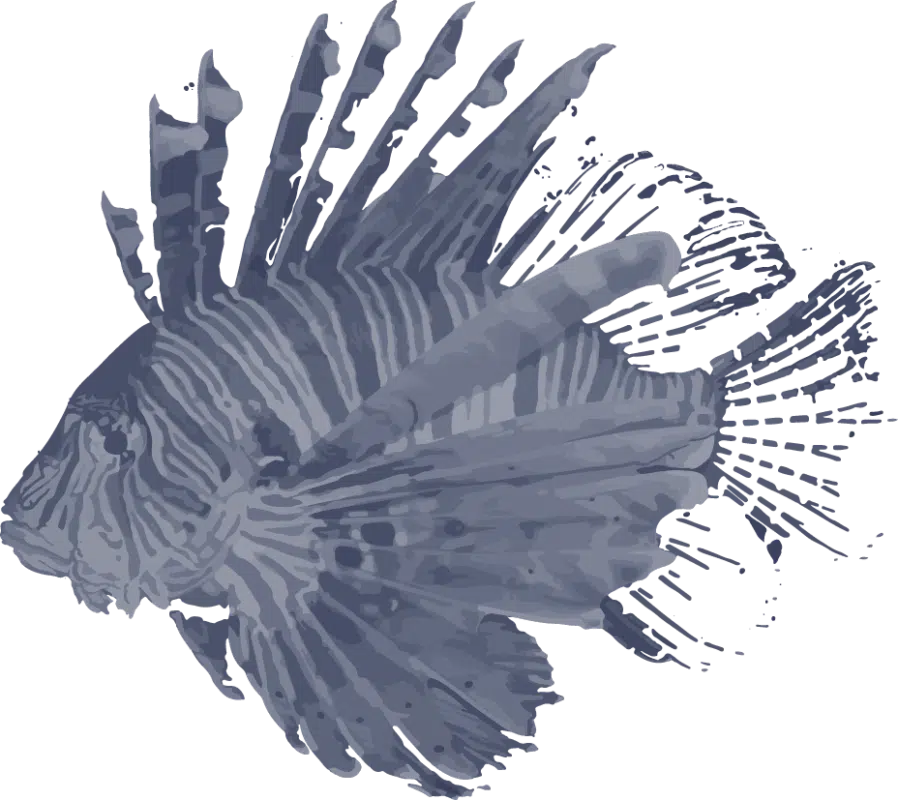 LionFish Data