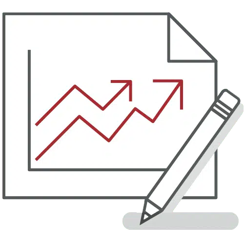 SalesDash P&l Statements